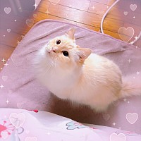わ